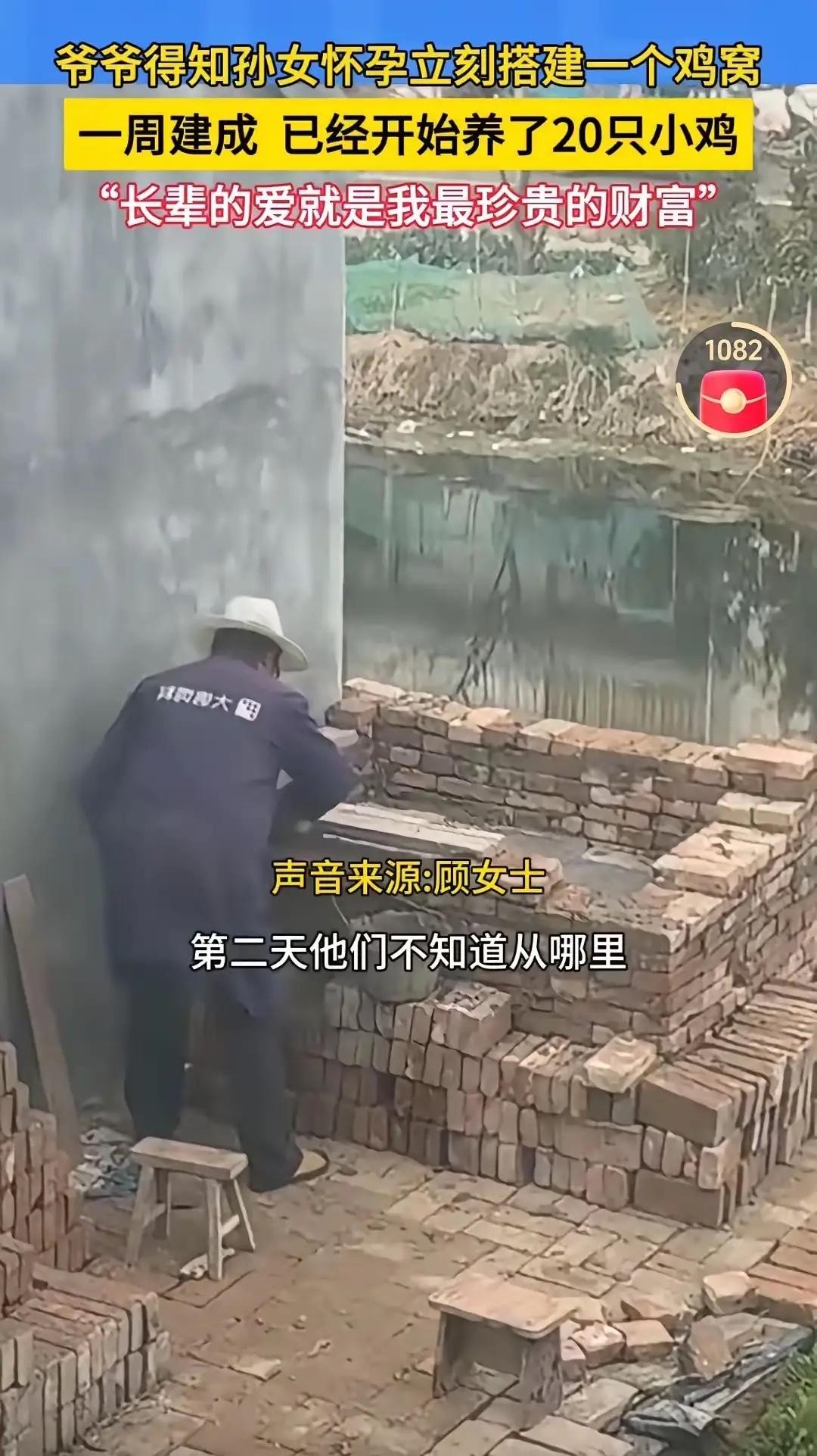 都说隔辈亲，真不是假的。江苏苏州的顾女士今年年初检查出怀孕，春节回老家看望78岁