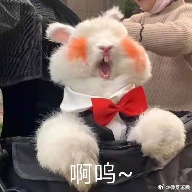 在职场被重视是什么感觉 上班心情都轻松不少，不用内耗猜忌，真心被认可被偏爱，每天