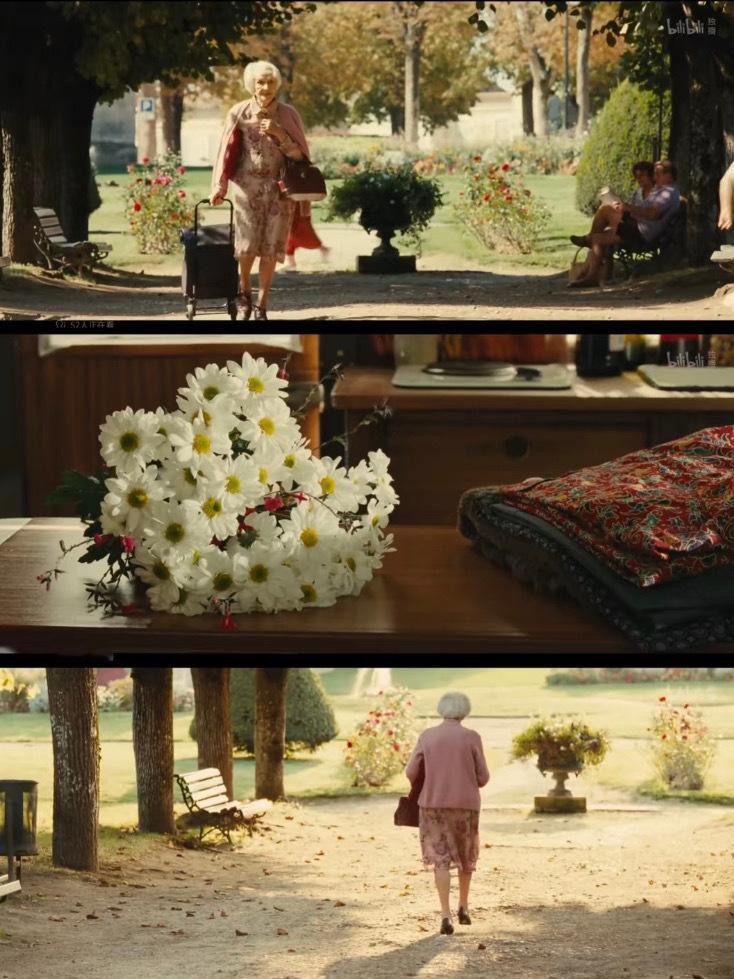 电影推荐🎬 “这不是典型的爱情故事，但爱和温柔，都不缺少。她以雏菊为名，在词海