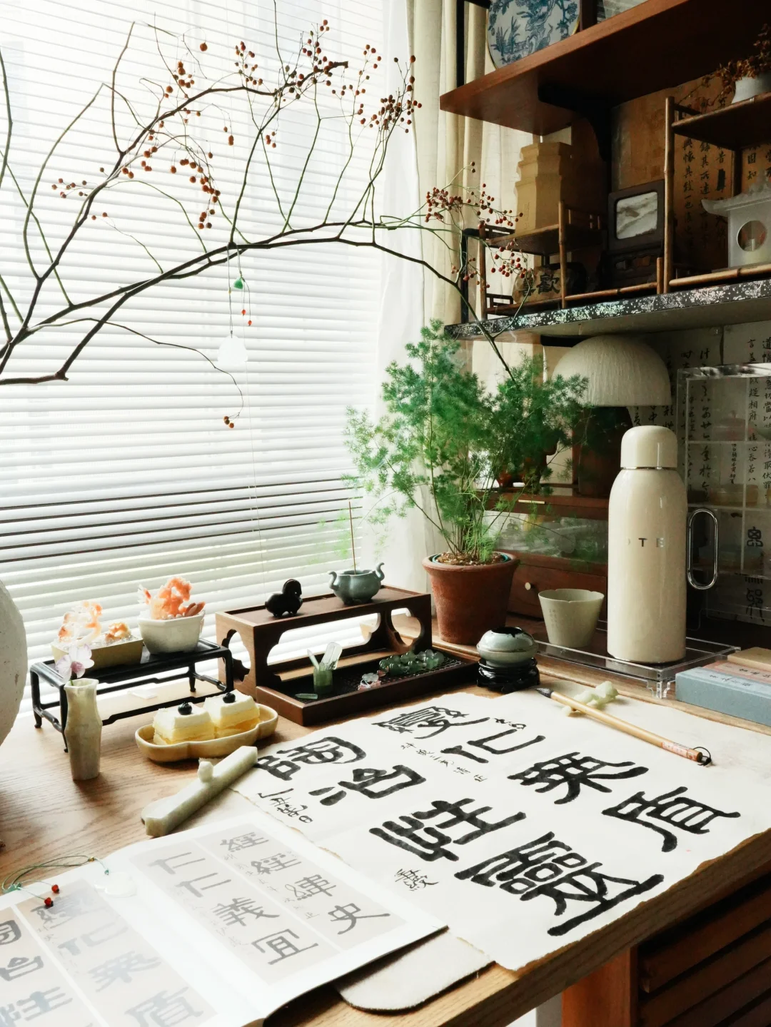 生命里的所有笨拙 因为认真而变得可爱