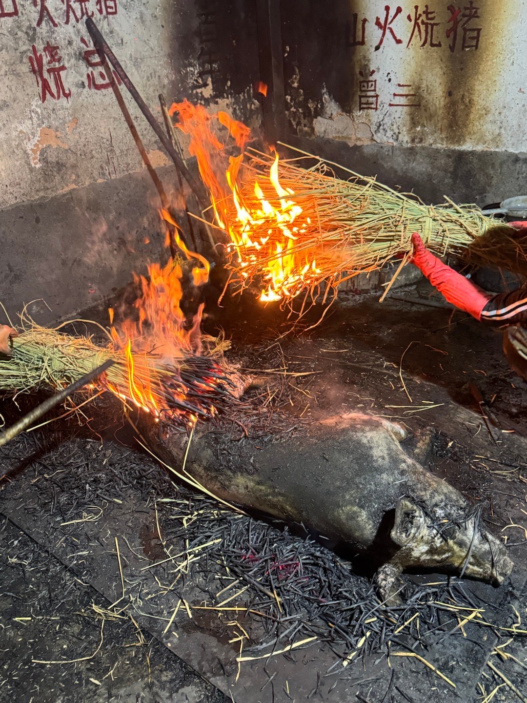 云南保山火烧猪，稻草烧到7成熟，直接上桌吃！喝起，视频随后就到每日一餐分享 保山