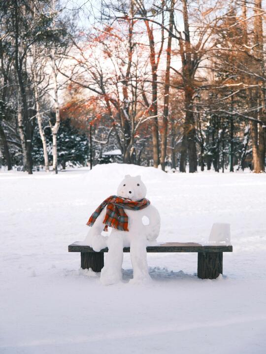 Winter in Hokkaido