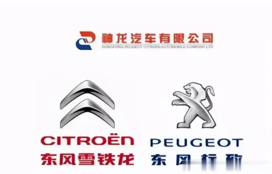法系车在国内永远是小众车，法国人固执，不懂中国市场，错过了发展时期，现在国产车崛