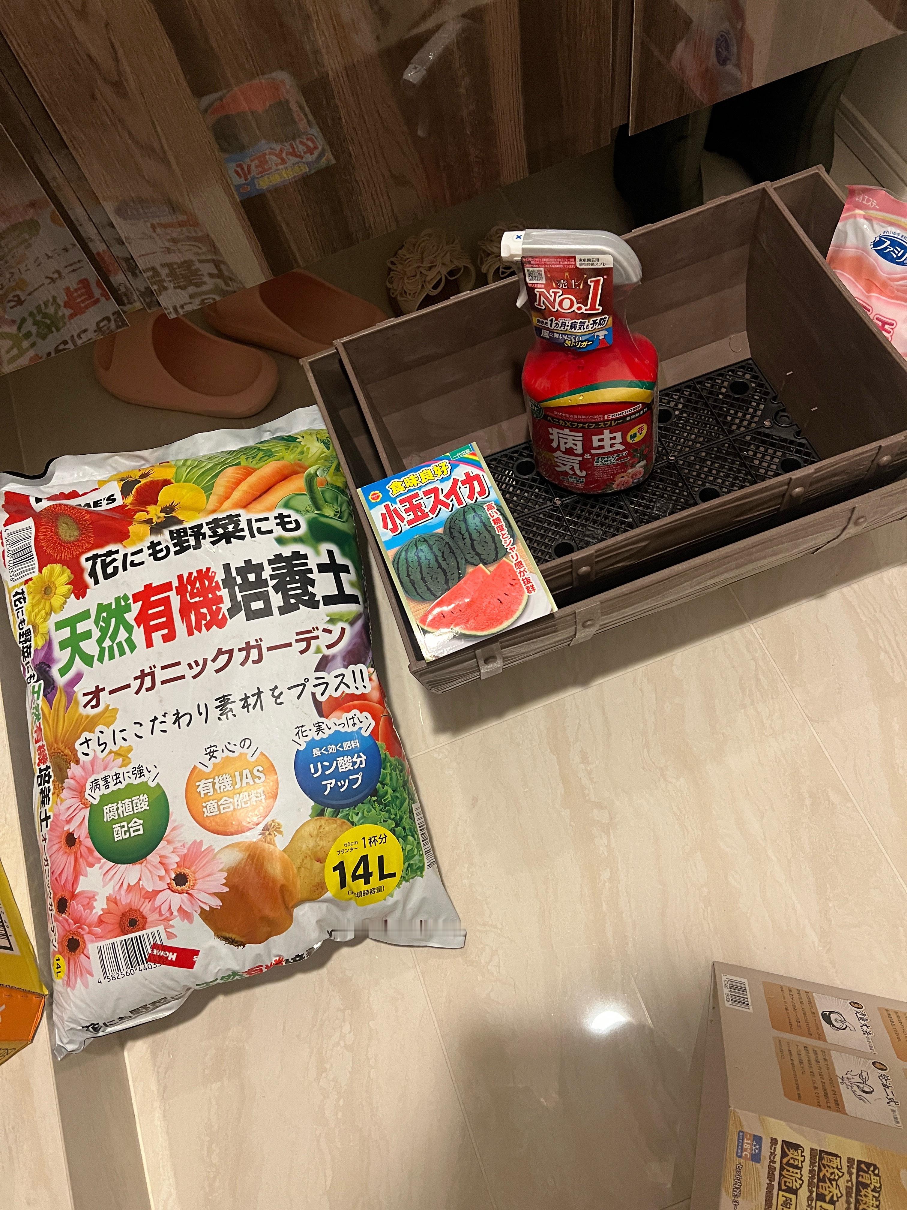 种瓜得瓜，对吧？！能种出多大的西瓜呢。