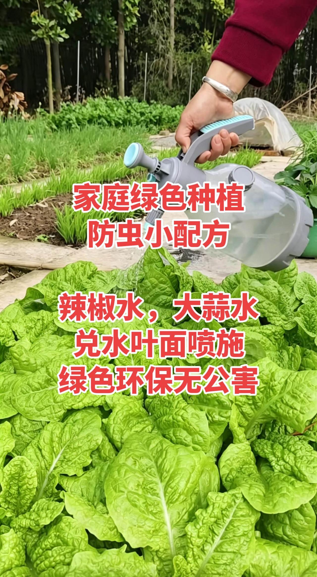 辣椒大蒜水确实属于物理驱虫范畴，但它更像是一道“防线”，而非“特效药”。效果好不