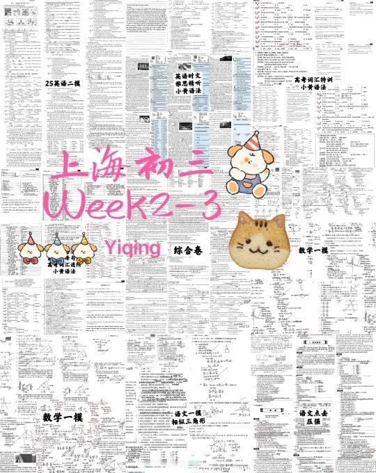 上海初三｜绵绵用力，久久为功
上周忙着搞摸底考没更新
虽然摸底考7门…（不 物理