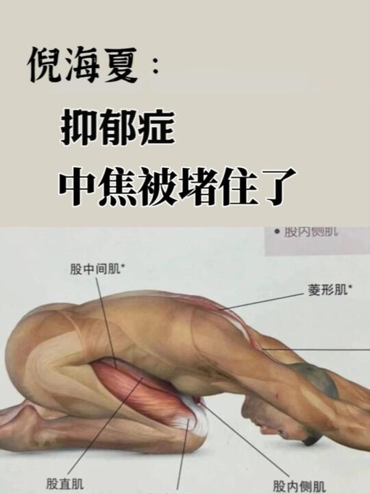 倪海厦：中焦阴毒不除，抑郁症也就去不了根 . 俗话说：中焦不通，抑郁难...