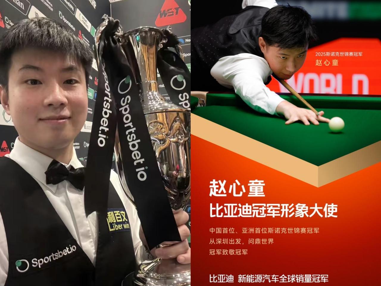 比亚迪这次真的赢麻了，全靠一手精准眼光，押宝赵心童直接赚翻。
谁能想到比亚迪早早