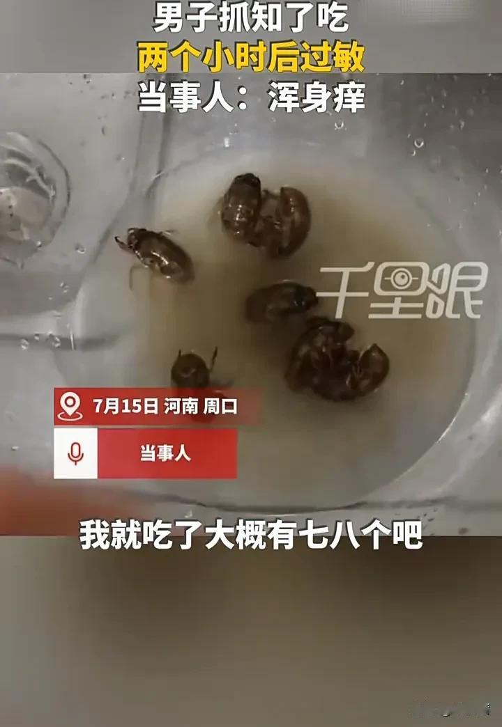 千万别乱吃东西！7月15日，河南周口一名男子抓了一些知了猴来做菜，没想到吃了七八