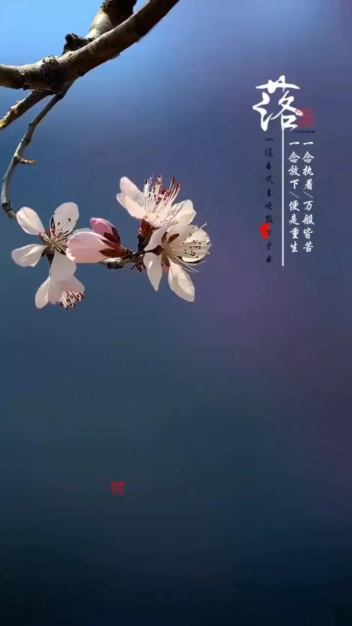 #上联：风摇竹影添诗意，求下联#

风摇竹影添诗意

雪压梅花暗香来