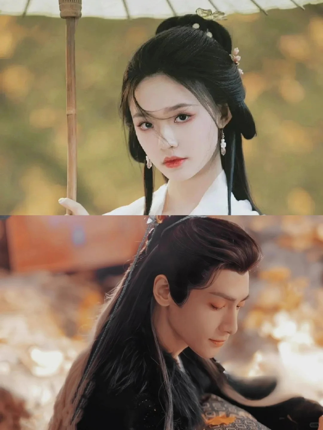 妈耶‼️终于要播‼️这是什么神仙阵容‼️