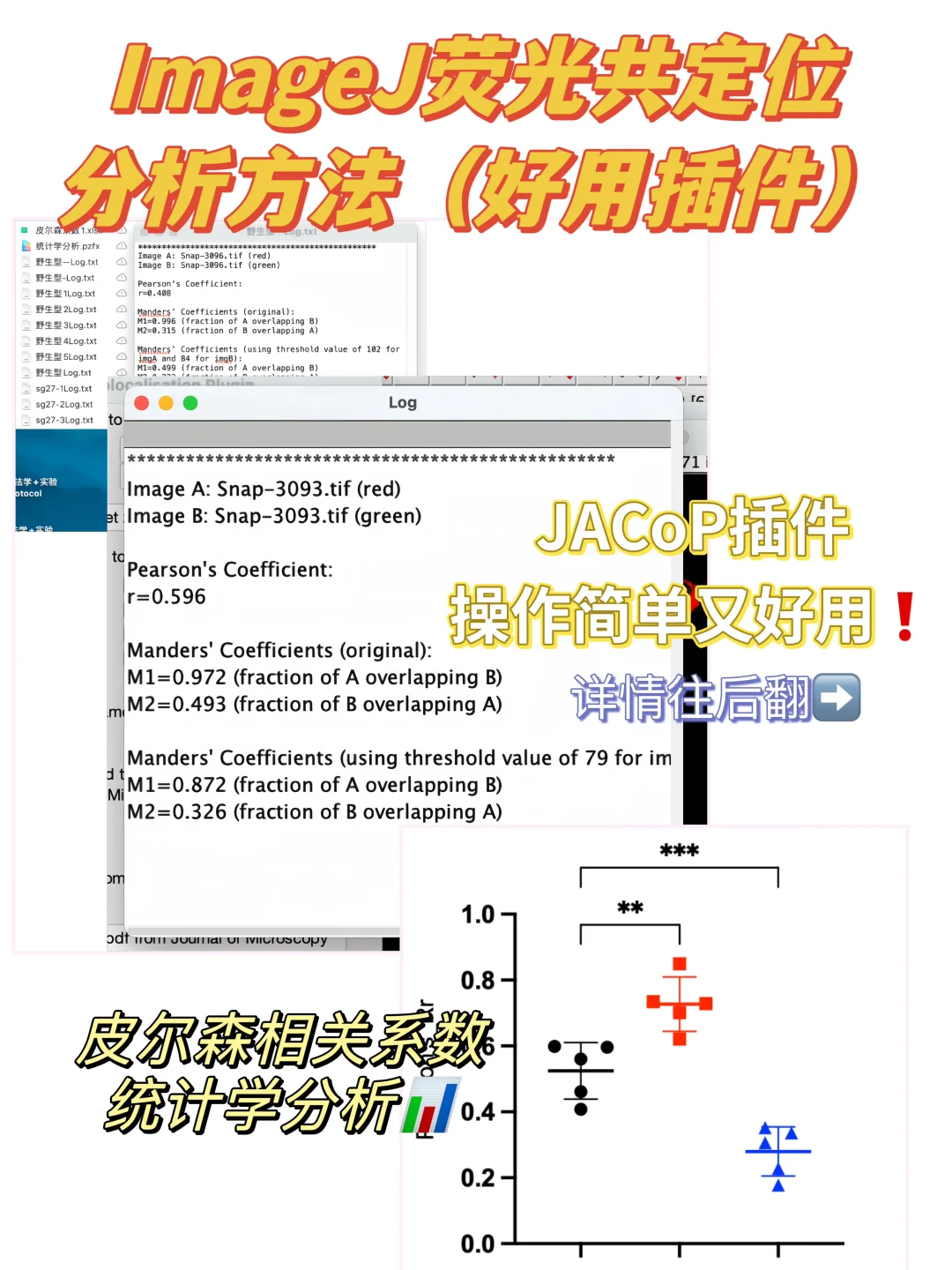 ImageJ｜荧光共定位分析方法📊