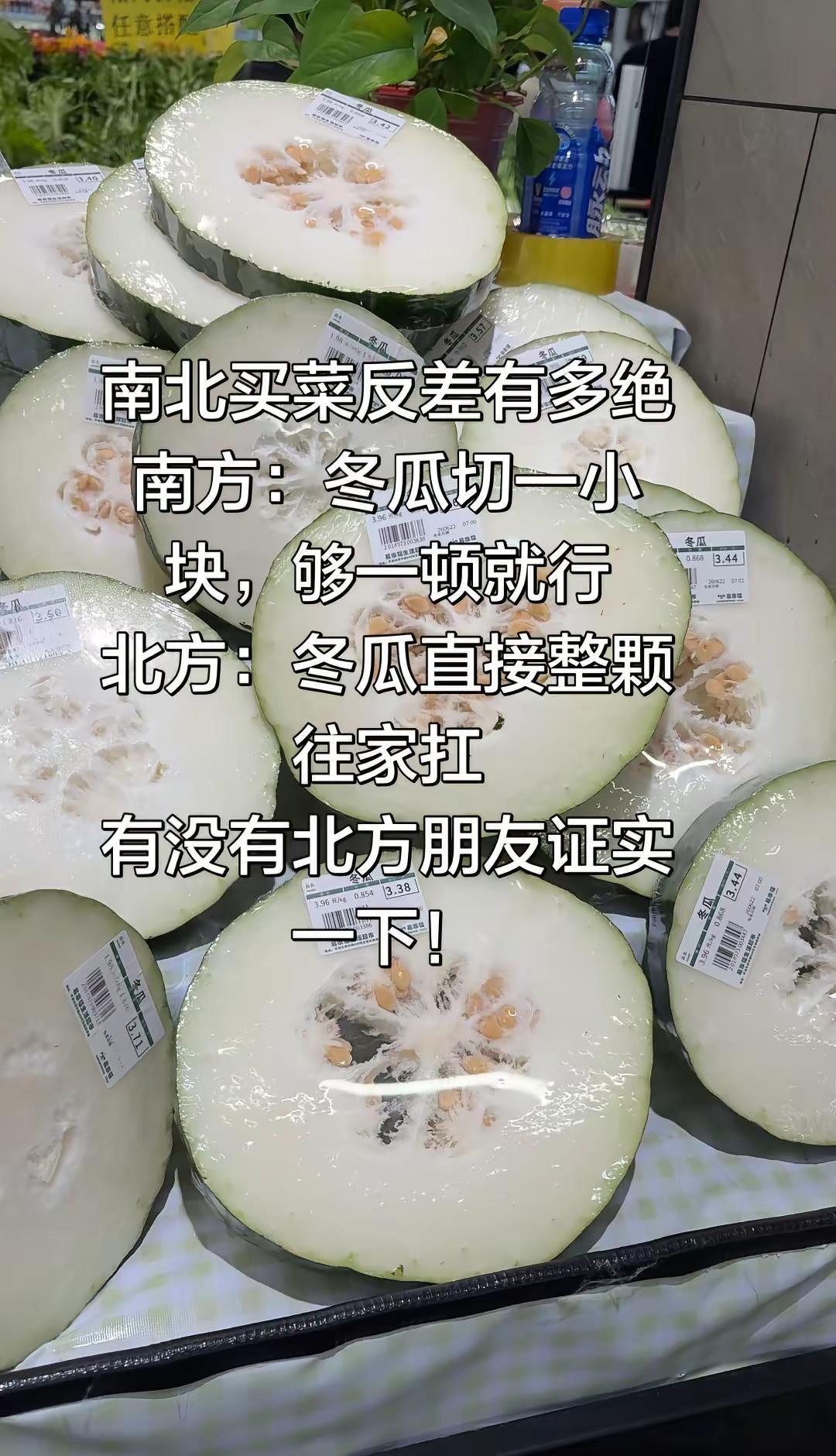 南北买菜反差有多绝南方：冬瓜切一小块，够一顿就行北方：冬瓜直接整颗往家扛有没有北