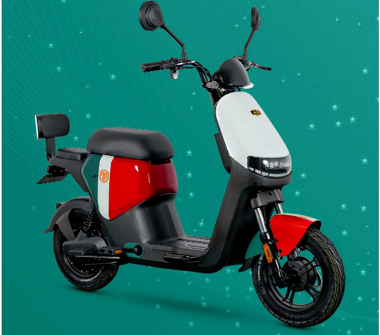 你说，咱们老百姓骑电动车，可是为了方便——买菜能挂个袋子，送孩子上下学时能多带一