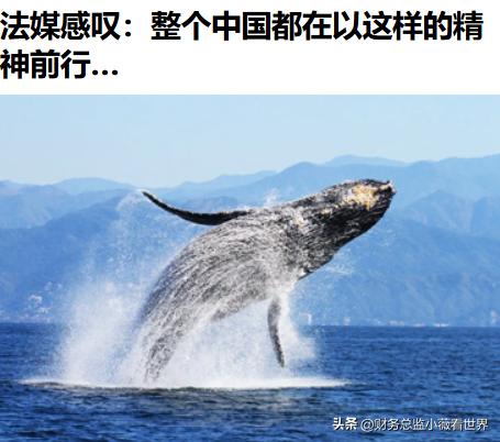 法国人看懂了中国，法国《世界报》刊文称：“整个中国，现在都在以一种‘你封我，我就