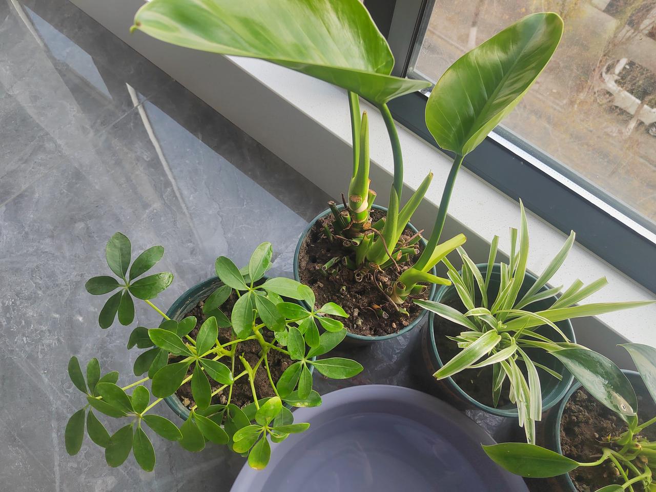 生活中处处充着博弈论原理！