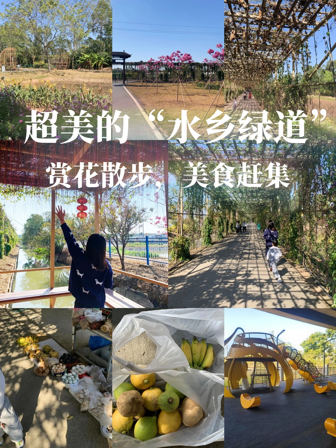 挖到超美的水乡绿道！