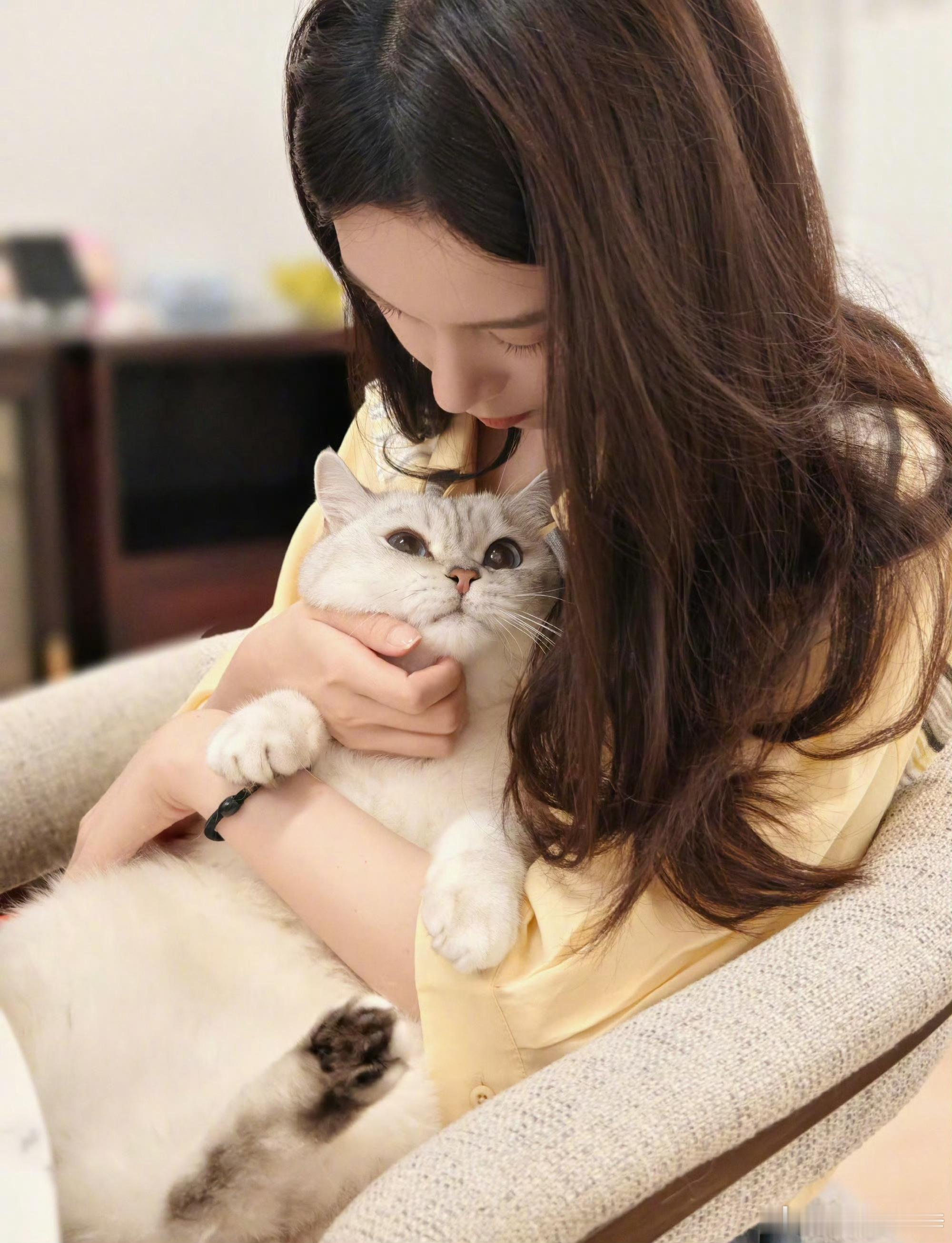 陈瑶晒猫小呼好乖 ​​​