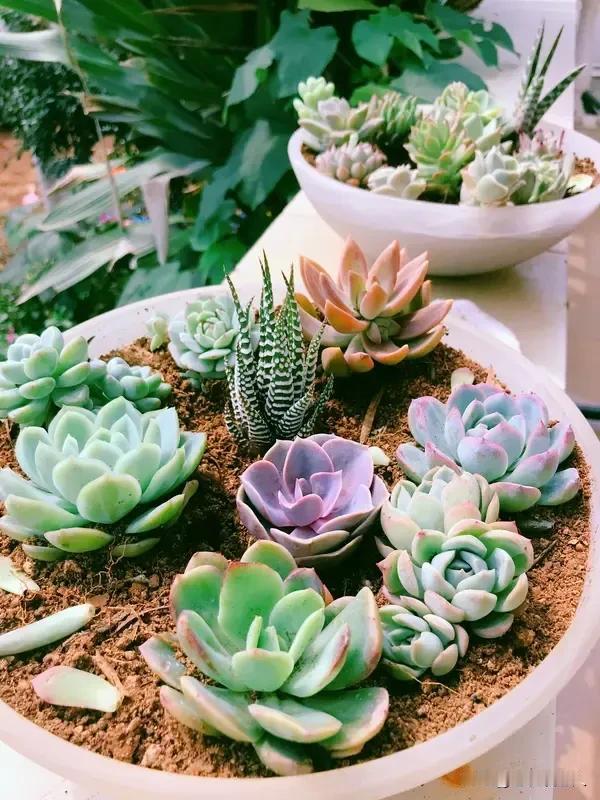 人活到了70岁,大致有几种活法?

老人活到70岁的时候，算是老年的中间阶段，人