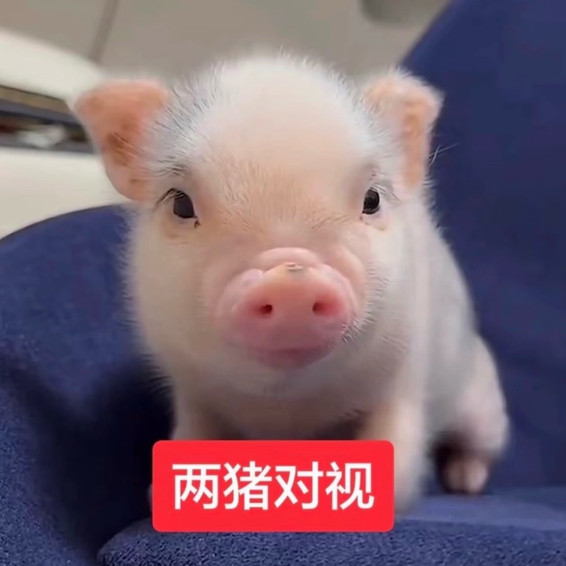 我是谁 
