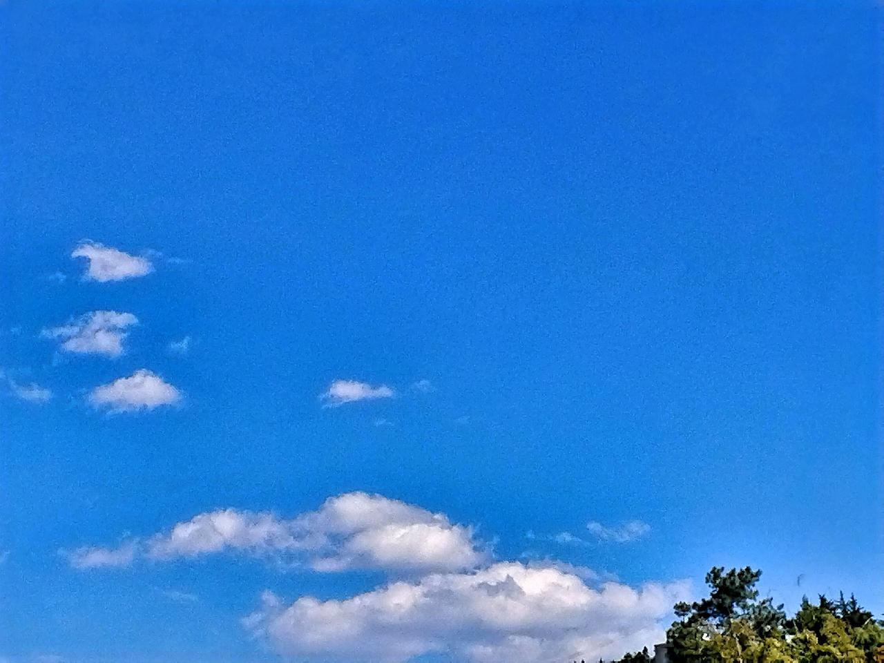 蓝天白云，心旷神怡，大自然的美好瞬间！🌤️🍃
