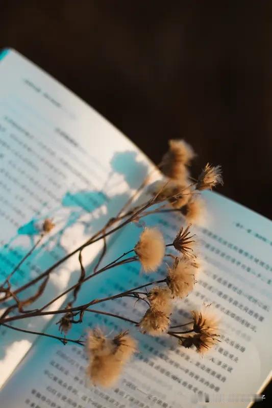 如何用七绝展现出优美的诗意? 想让七绝展现优美诗意，不妨看看晏玉学的田园七绝。像