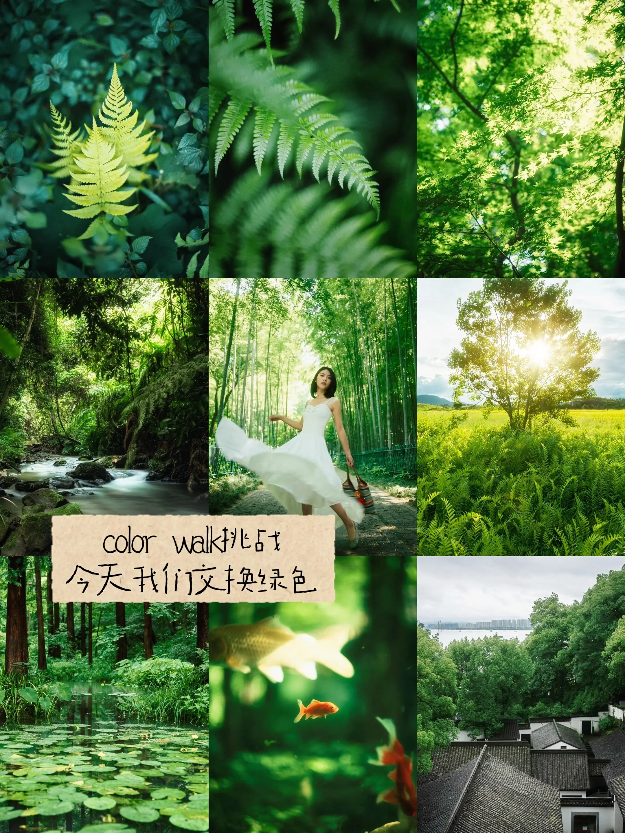 colorwalk挑战 今天我们交换绿色。用一种颜色代表春天，那我一定...