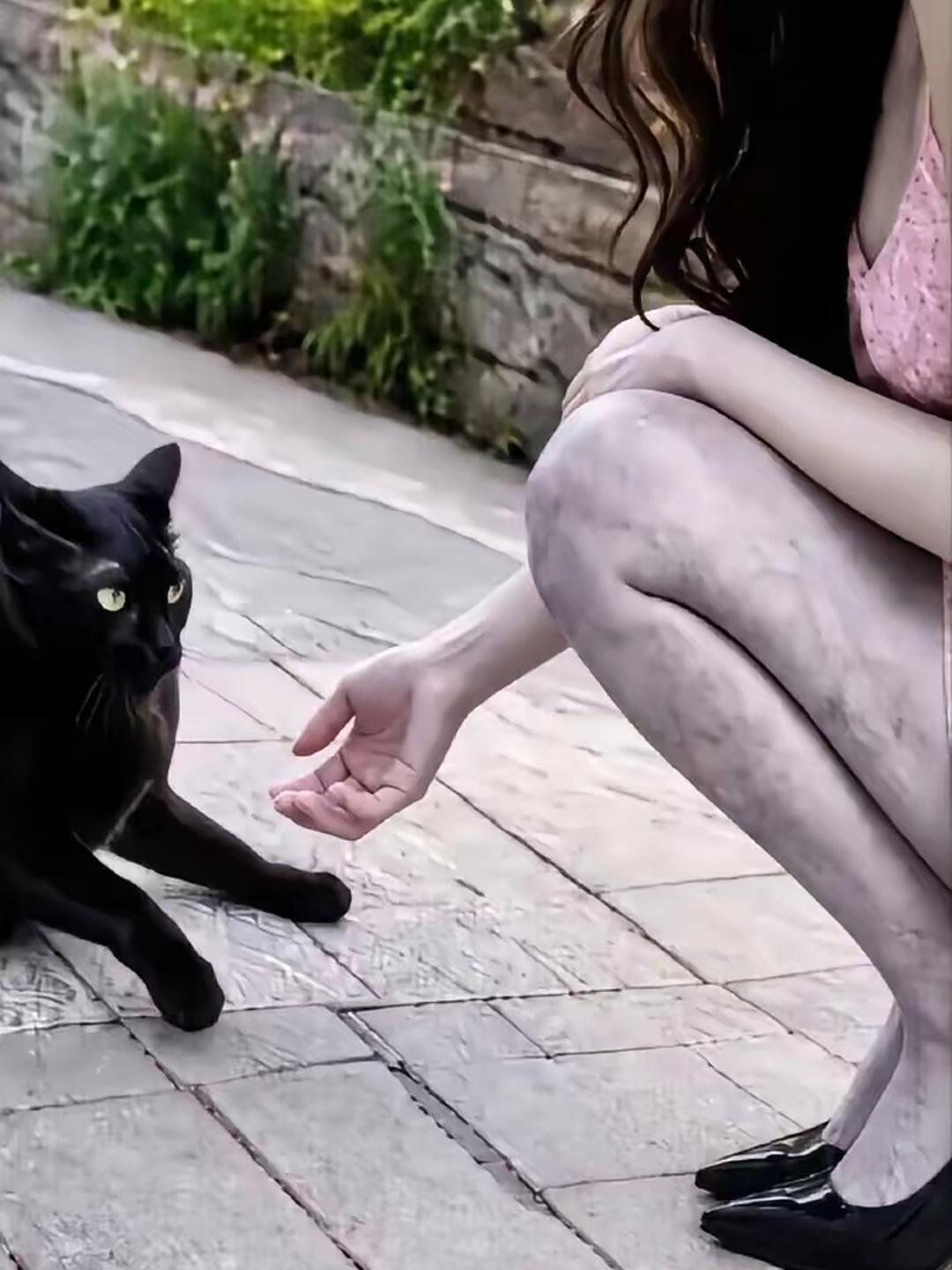 猫见了都怕你