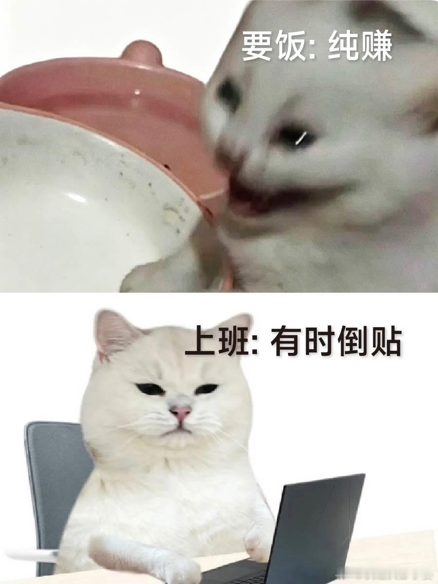 上班和要饭最大的区别是什么