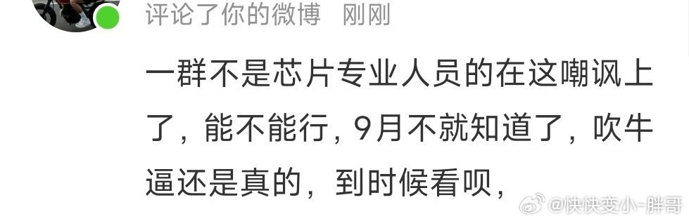 当时玄戒的时候你也是这么说那些骂小米的人的吗？ 
