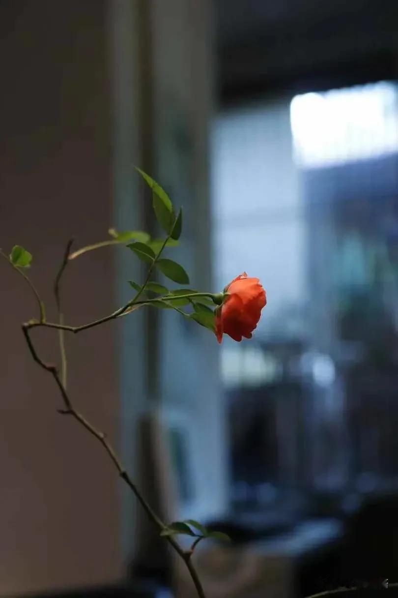 王志文说：
"我不高攀有钱人，因为我花不到他的钱；我也不低看穷人，因为他不靠我生