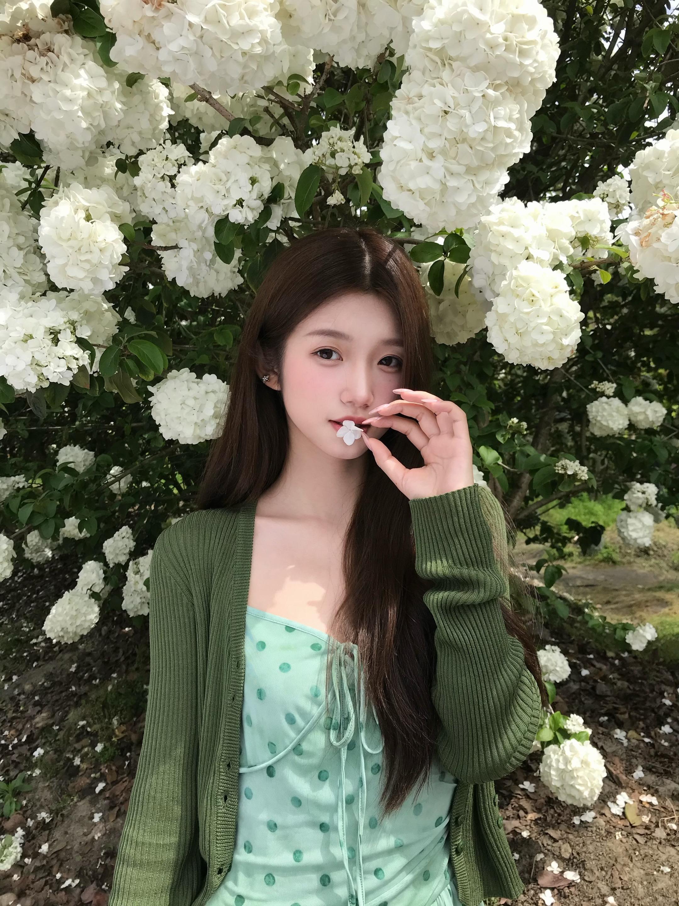 木绣球。  前几天回成都拍到的木绣球 专门搭了一套很绿色清新的小裙子 ...