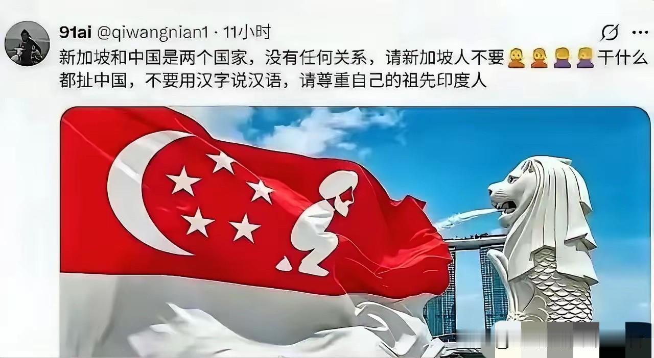 恶搞新加坡国旗的梗图在外网传疯了，“印家坡”这三个字，直接把当地人气炸了
最近外