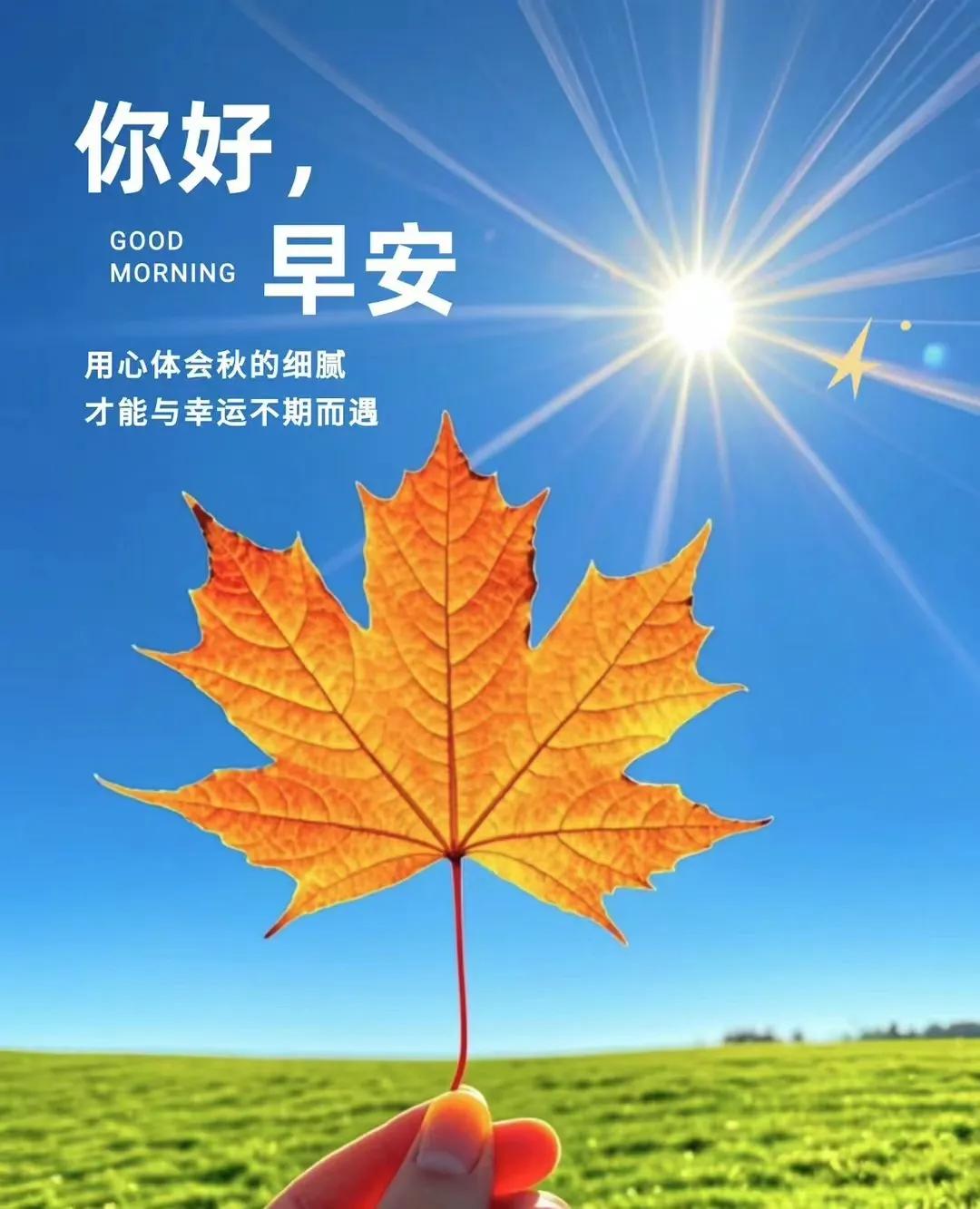 感恩节