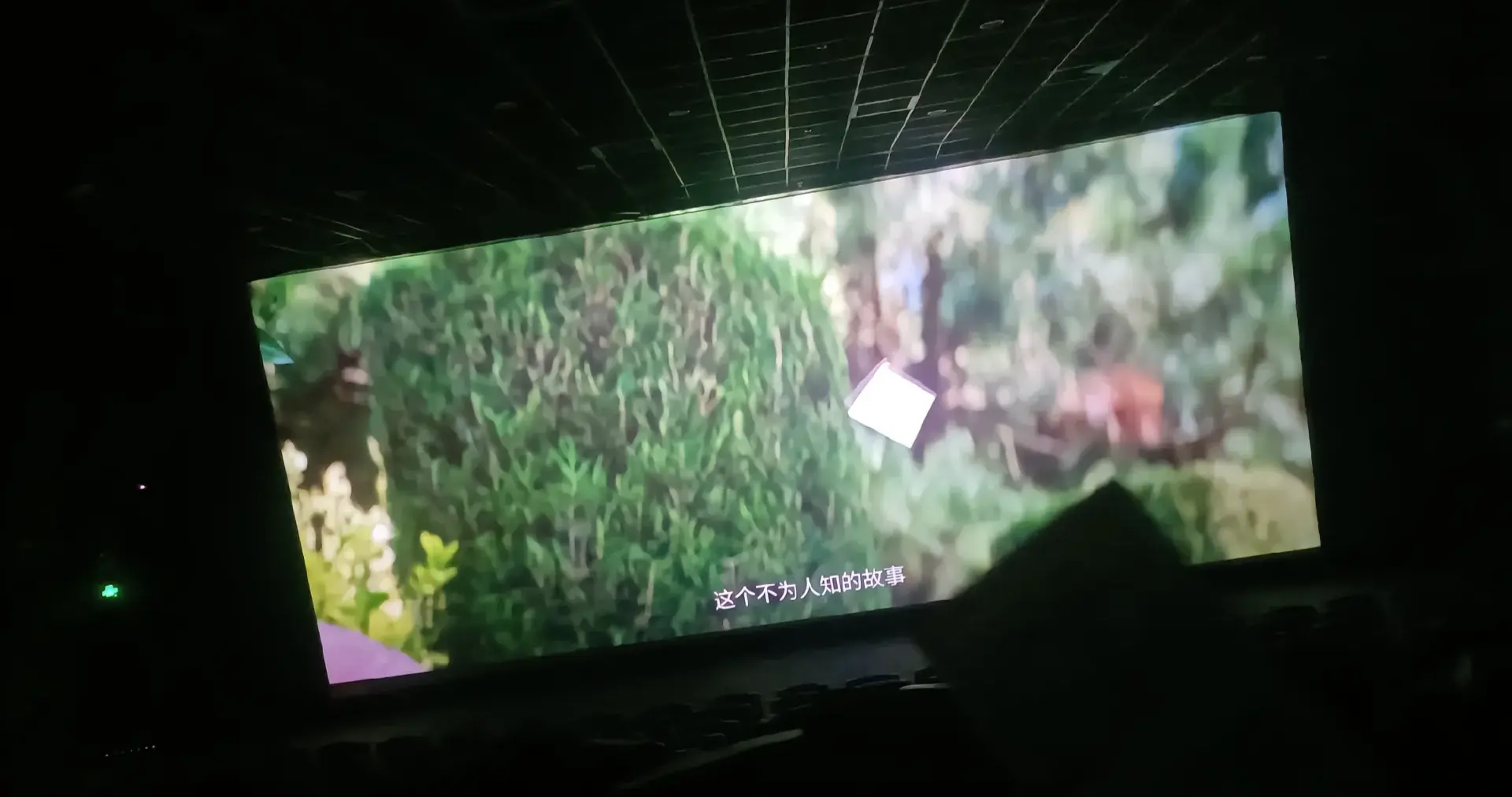 那个不为人知的故事