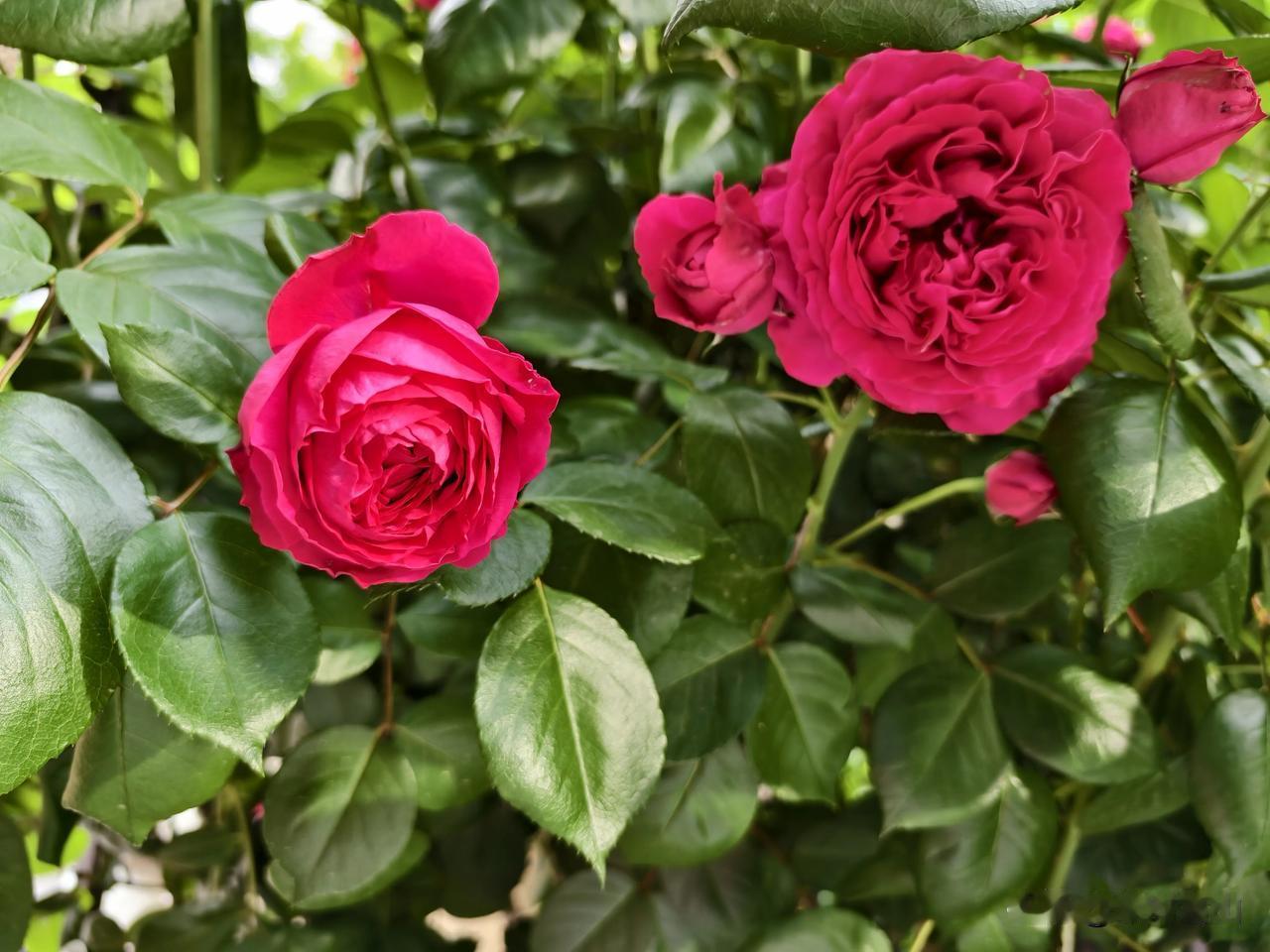 这个点了，老母亲的一颗心，还在追随着儿子在路狂奔。

孩子这会儿在回工作地的路上