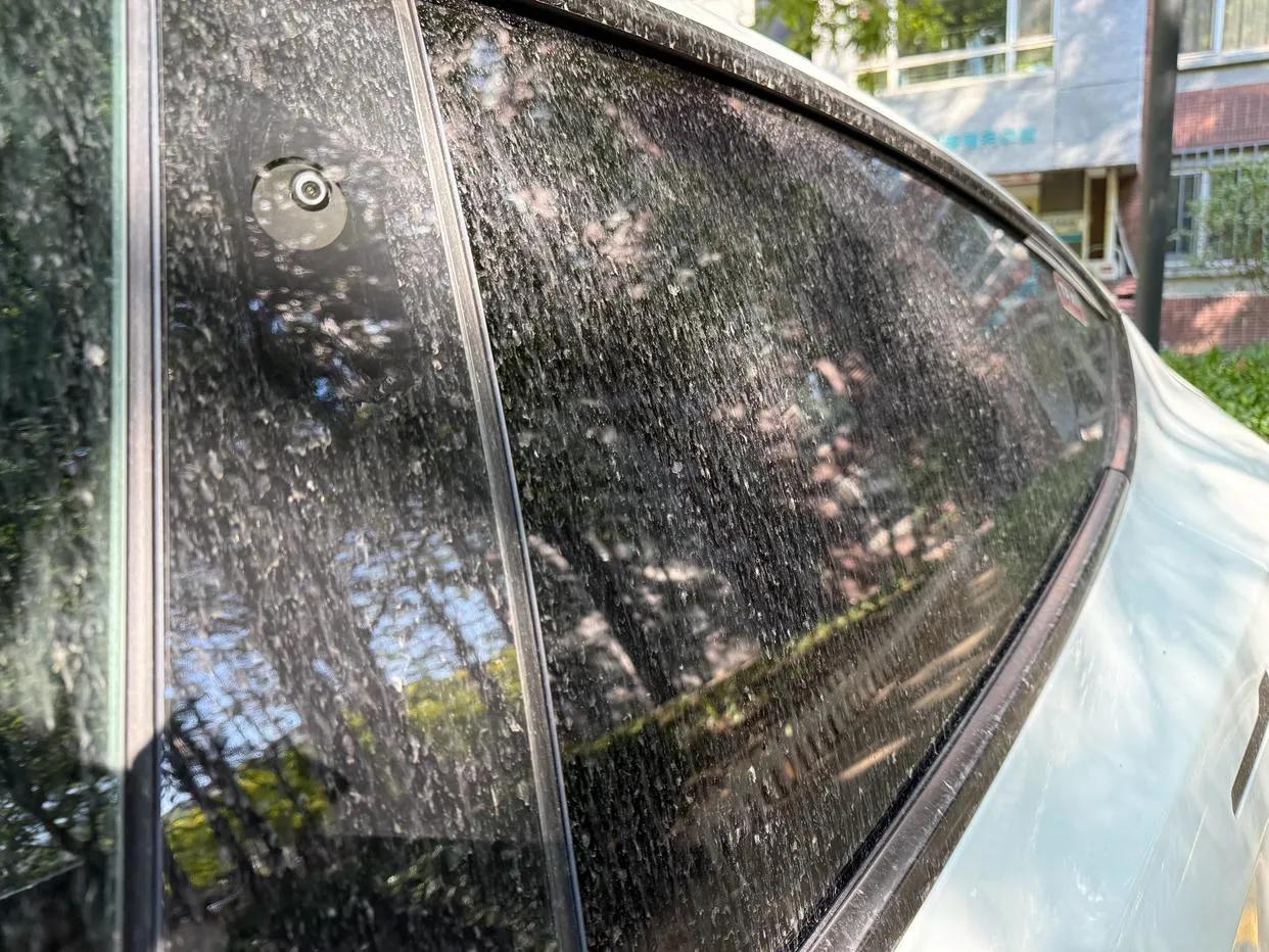 北京的天气，洗车还是不洗车？