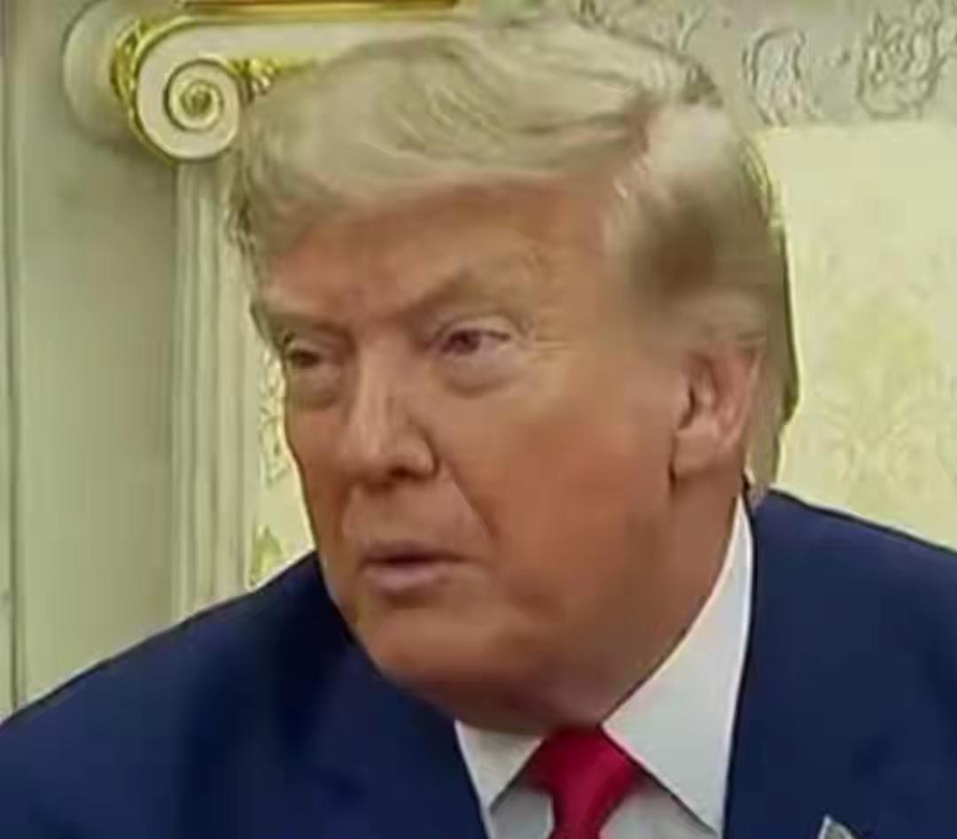 对美国打脸最狠的只能是美国人！白宫改换名目加征关税，本土企业直接起诉联邦政府！