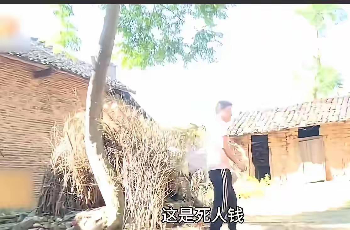 在这个故事的背后，藏着一段令人心碎的家庭裂痕，也折射出许多现代家庭中难以言说的矛