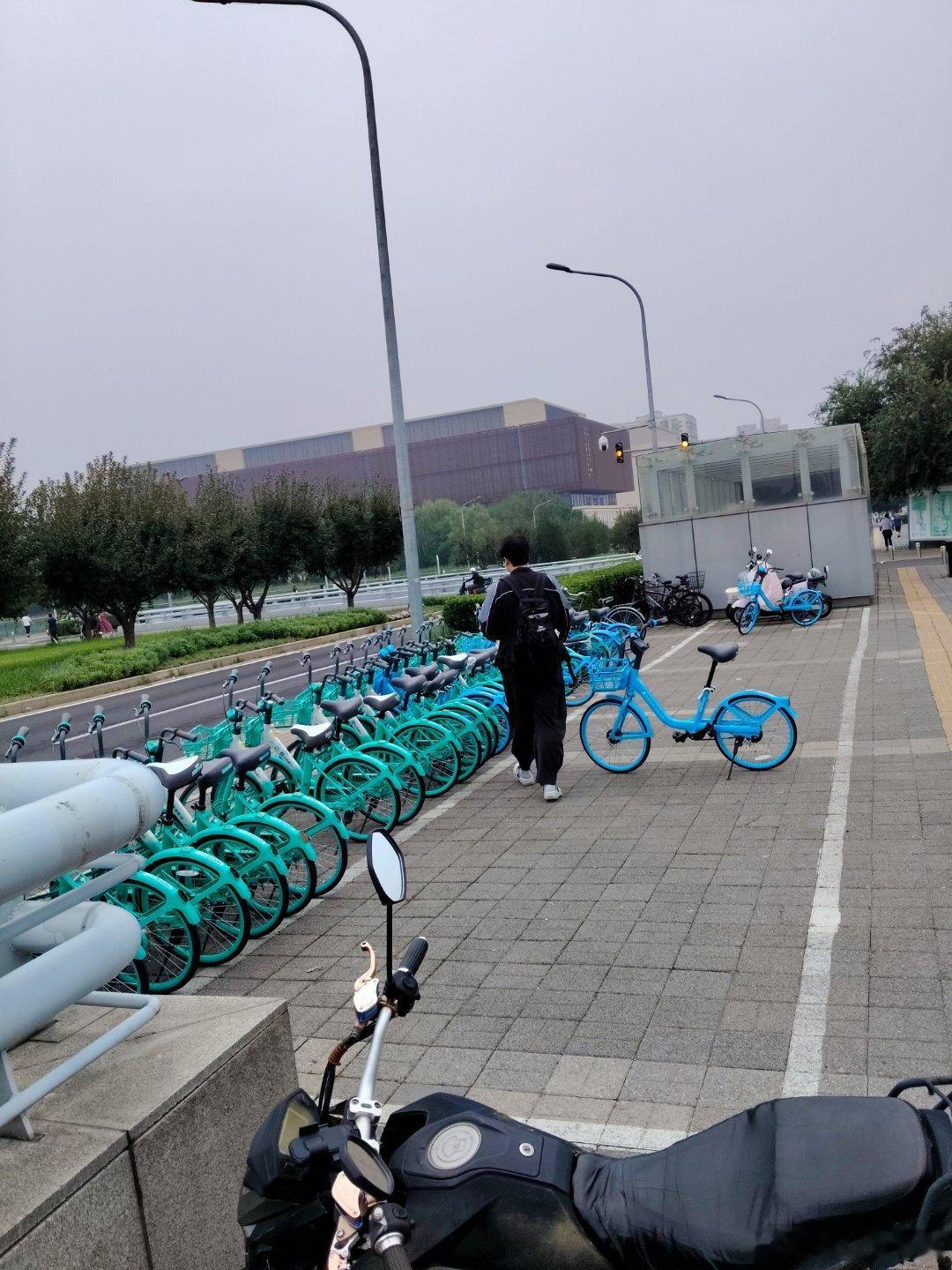 自从我办了美团小黄车年度会员后……经常找不到小黄车。你说大数据厉害不厉害？ 