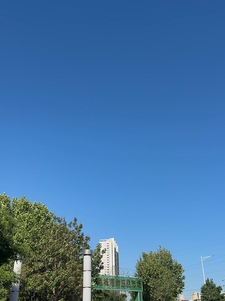 碧空如洗特别蓝，
蓝得醉人大晴天。
鸟语花香阳光好，
出门拥抱大自然。