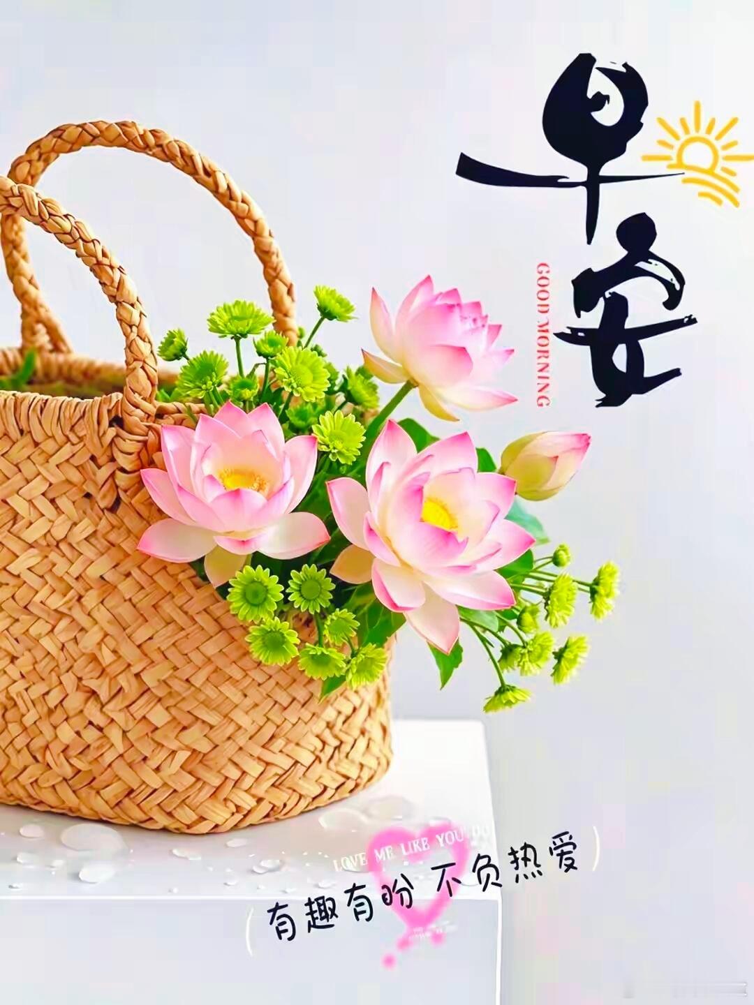 对世界保持恰好的钝感，对自己保留通透的坦诚。愿你的勇气如破晓鎏金，每遇犹疑都能轻