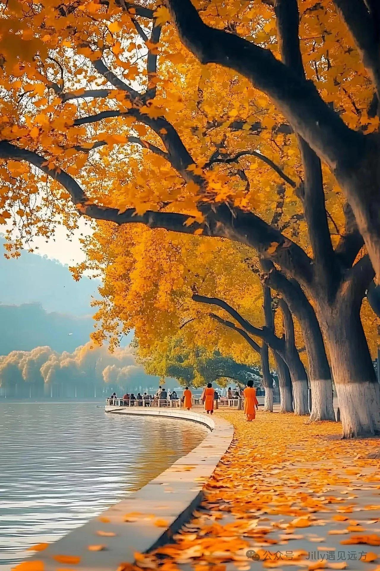 
美好生活的平台，展示自我的平台。