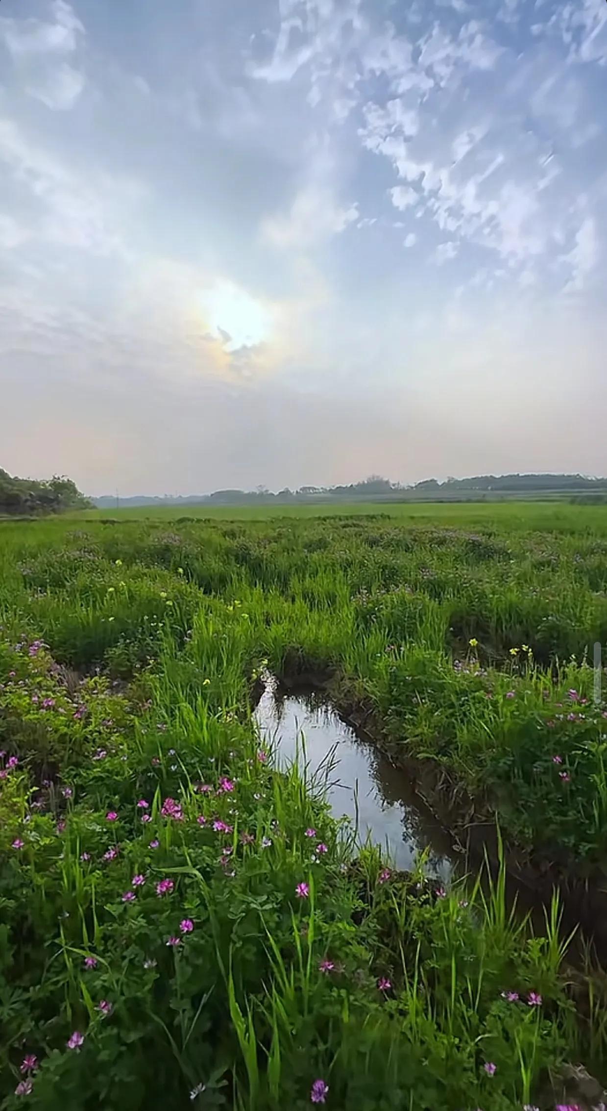 春天来临，故乡美景如画卷般展开。童年的欢声笑语回荡在耳畔，让人忍不住沉浸其中。漫