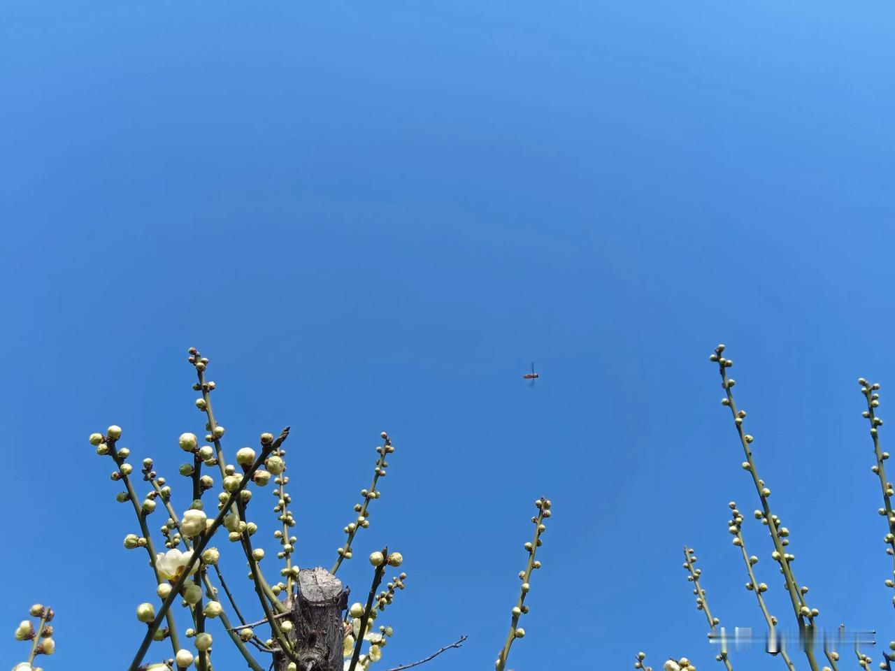 发现这两天自己有不好的苗头！不是身体上的，而是行为上的。
因为这两天看了两部短剧