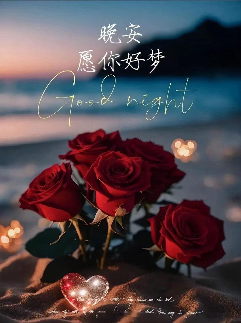 晚风温柔，玫瑰寄情。卸下整日疲惫，和世界道一声晚安🌙 