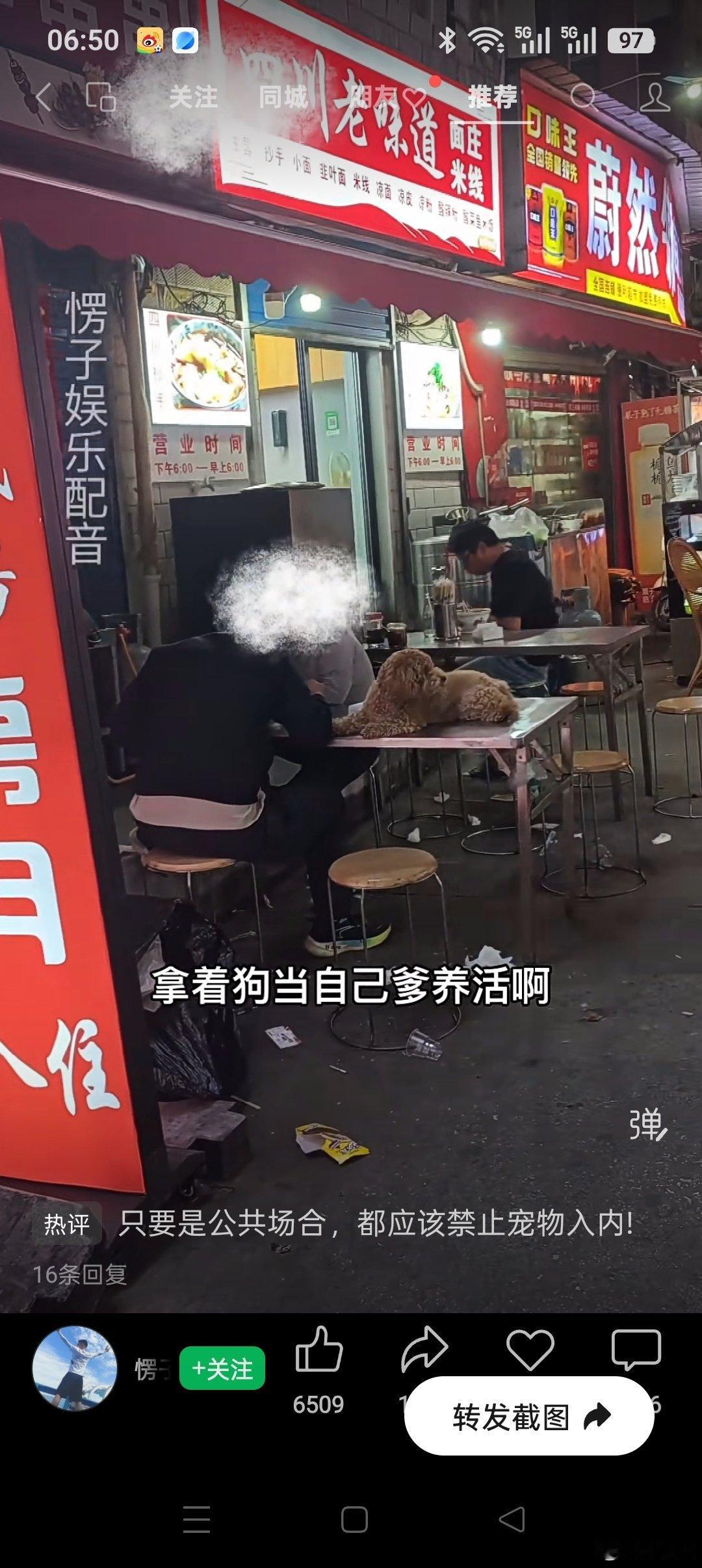 一对狗夫妻，素质实在低。抱狗进饭店。喜看爹娘食。 