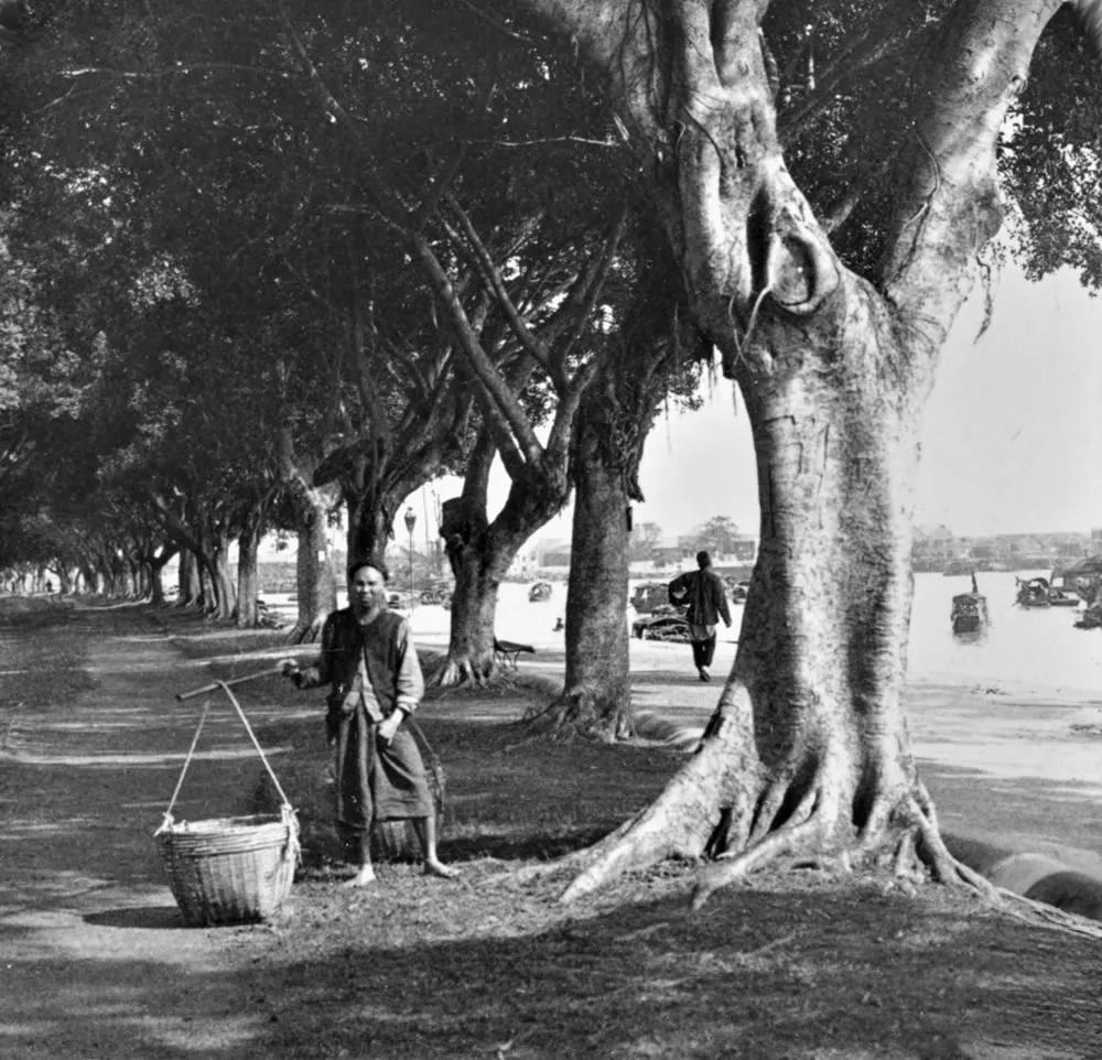 广州街道景色 影像·广州 广州老城区街景 老相片中的广州  以前的广州镜头下的广