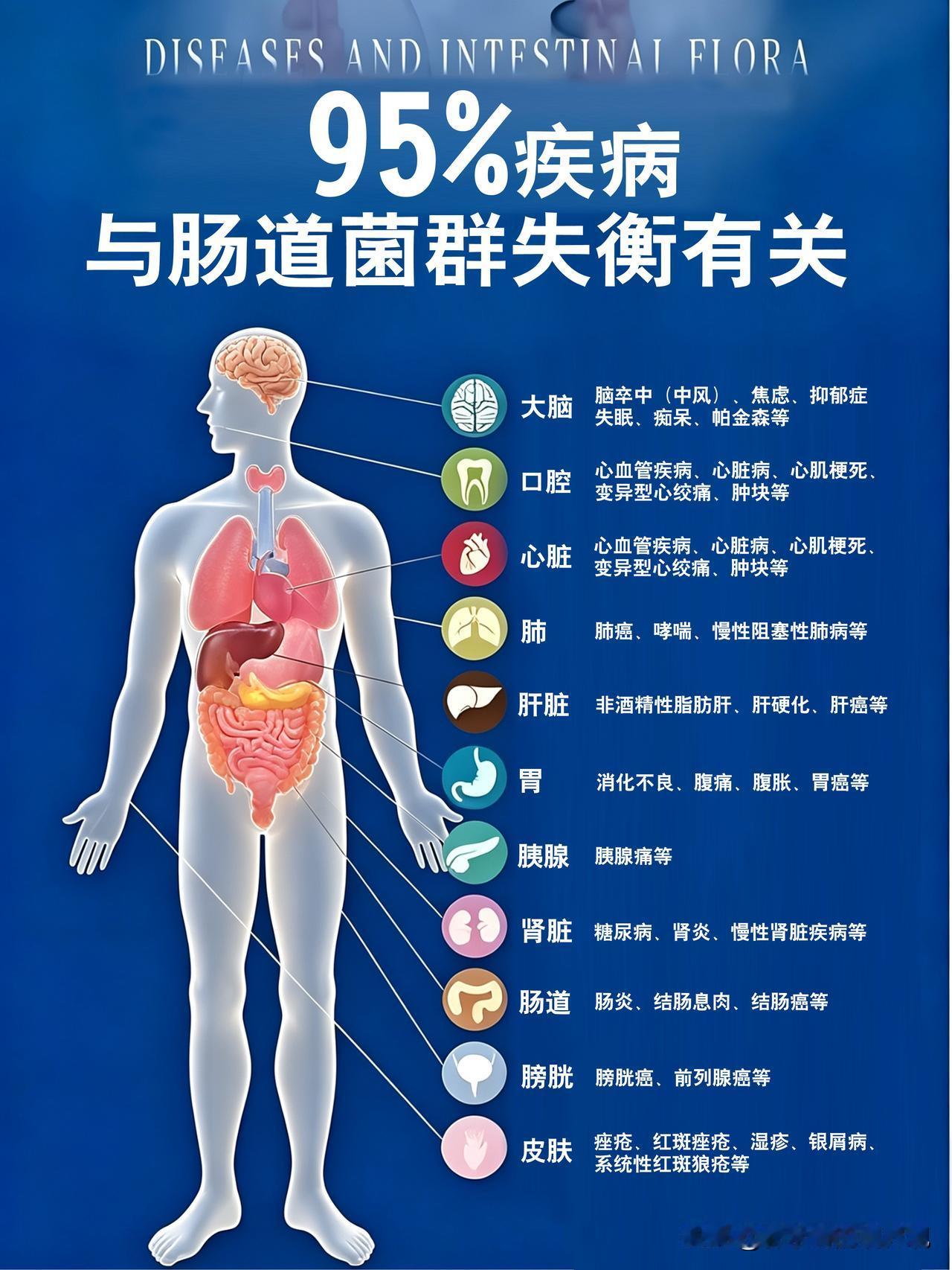 肠道被称为“第二大脑”，人体95%的血清素由肠道产生，这种与情绪(精神类疾病、抑