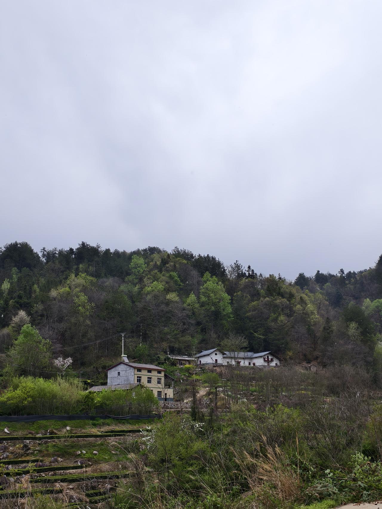 现在农村的年轻人都进城了，农村老年人住的老屋也即将空置了。网上已有专门的平台对接